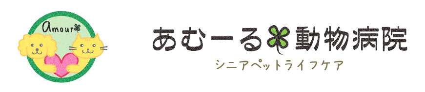 あむーる動物病院 シニアペットライフケア